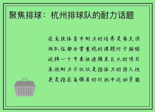 聚焦排球：杭州排球队的耐力话题