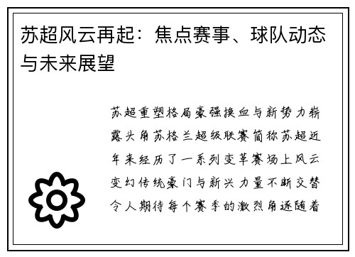 苏超风云再起：焦点赛事、球队动态与未来展望