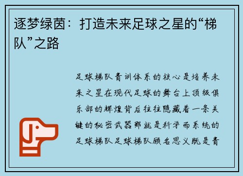逐梦绿茵：打造未来足球之星的“梯队”之路