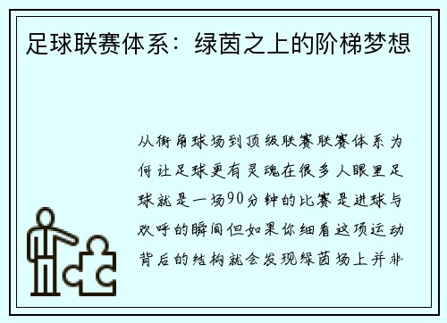足球联赛体系：绿茵之上的阶梯梦想