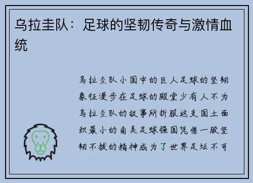 乌拉圭队：足球的坚韧传奇与激情血统