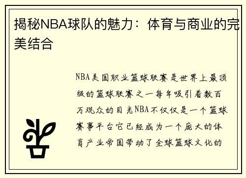 揭秘NBA球队的魅力:体育与商业的完美结合 揭秘NBA球队的魅力:体育与商业的完美结合
